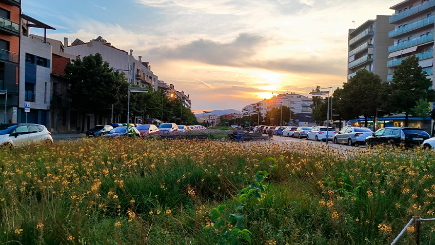 Este verano he muerto varias veces...