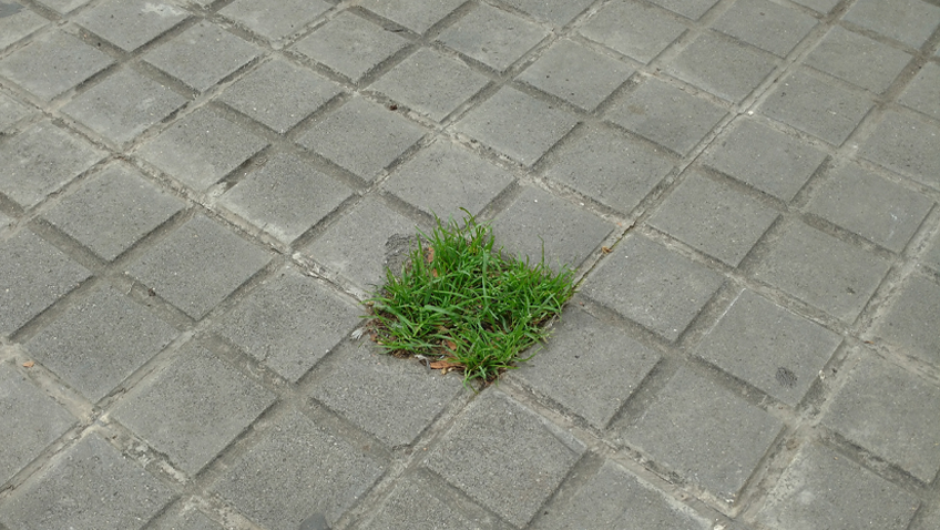 10 años sin independencia