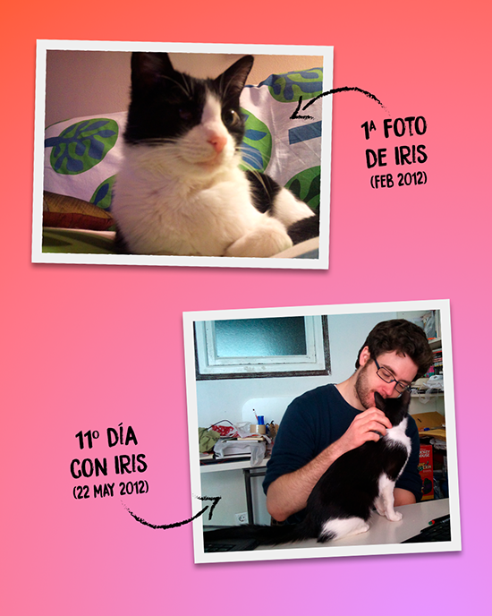 1ª foto de Iris (Febrero 2012) y 11º día con Iris (22 de Mayo de 2012)