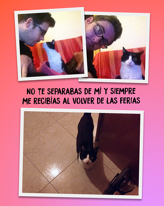 No te separabas de mí y siempre me recibías al volver de las ferias.