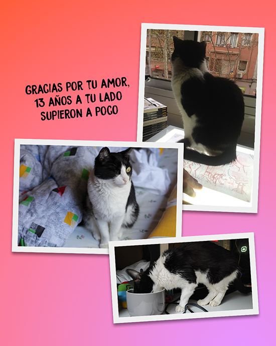 Gracias por tu amor, 13 años a tu lado supieron a poco.